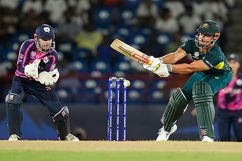 Marcus Stoinis bats against Scotland